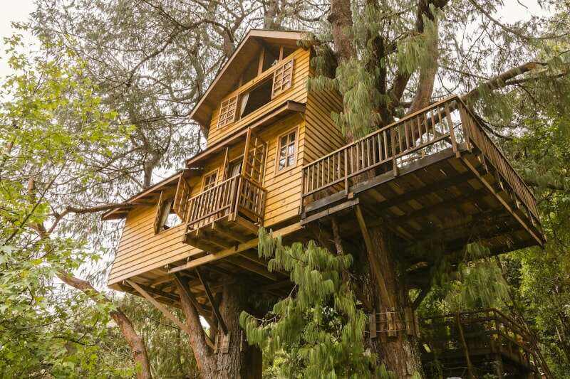 Une grande maison en bois est soutenue par un grand arbre.