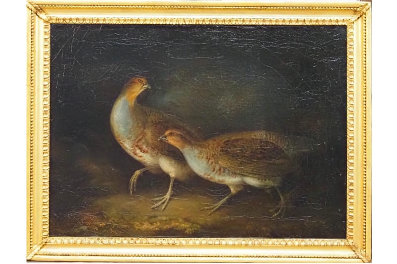 Les meilleurs endroits pour acheter des œuvres d'art en ligne : Stephen Elmer, Two Partridges in a Woodland