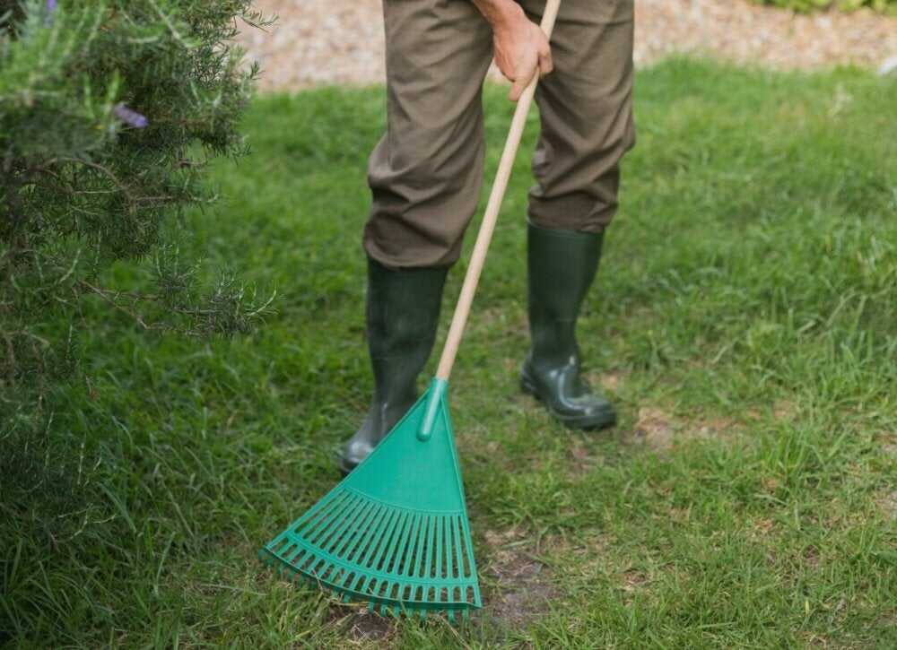 10 remèdes pour sauver une pelouse mourante