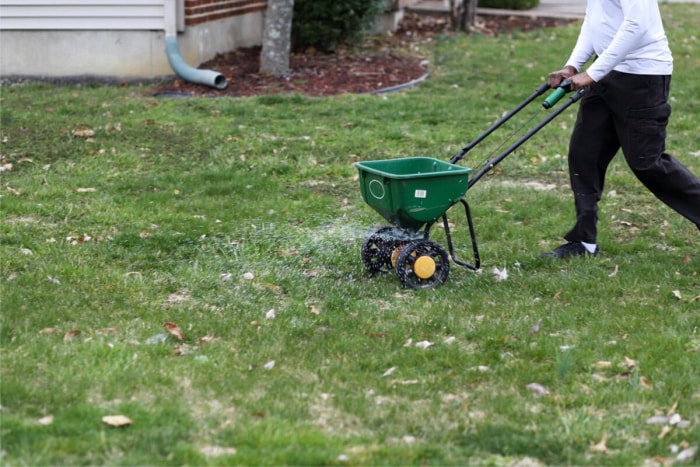 quand fertiliser la pelouse