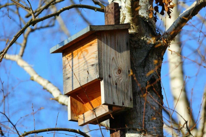 Une cabane à chauves-souris en bois attachée à un tronc d'arbre.