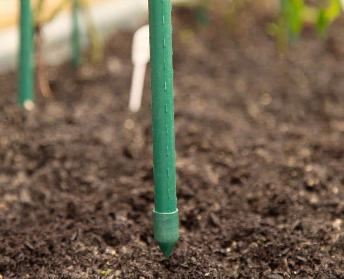 Tout ce dont vous avez besoin pour démarrer un jardin surélevé Tuteurs robustes pour plantes et jardins