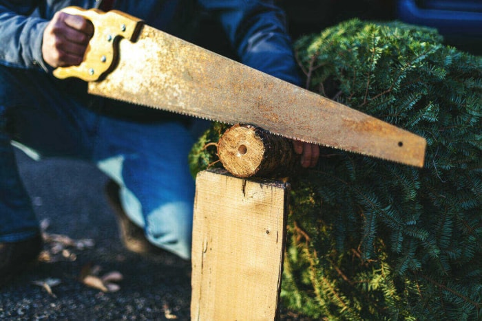 iStock-1191802918 Homme s'occupant d'un arbre de Noël et coupant le tronc d'arbre avec une scie