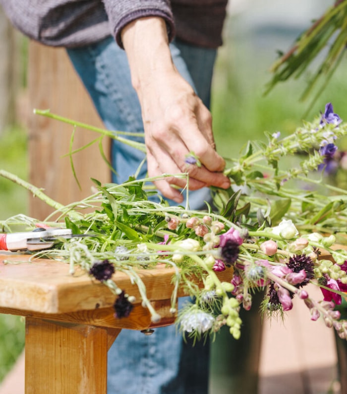 nouvelle année, nouvelle compétence - fleuriste bricoleur récoltant des fleurs coupées dans son jardin