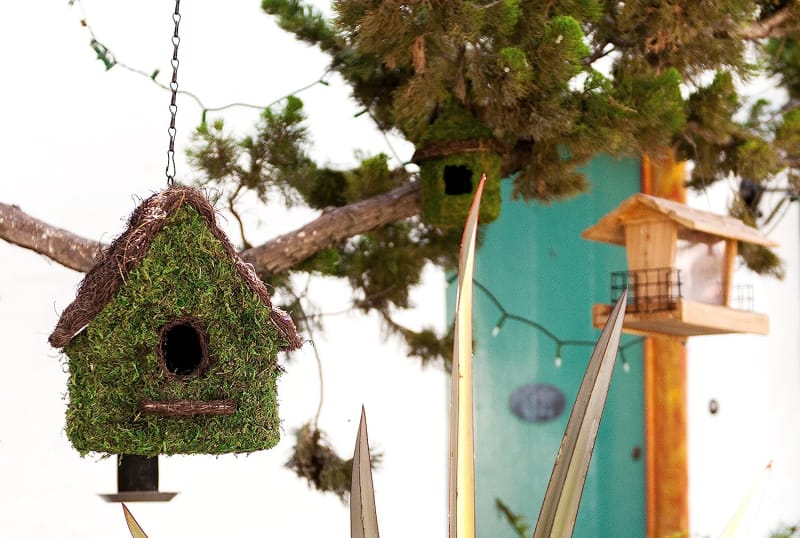 Maison d'oiseau suspendue en mousse