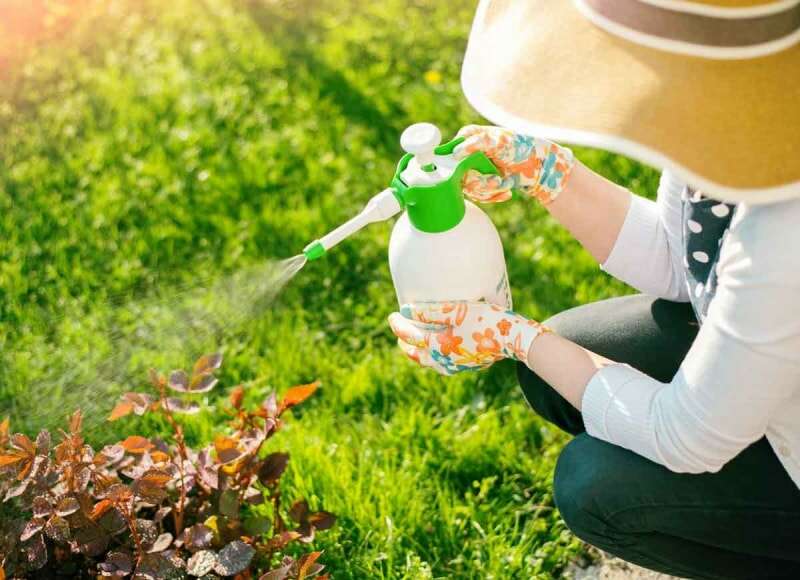 Les meilleures choses que vous pouvez faire pour le sol de votre jardin