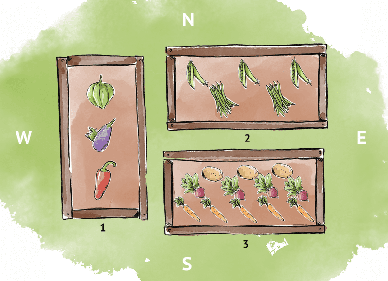 Une illustration de trois aménagements de potagers surélevés.