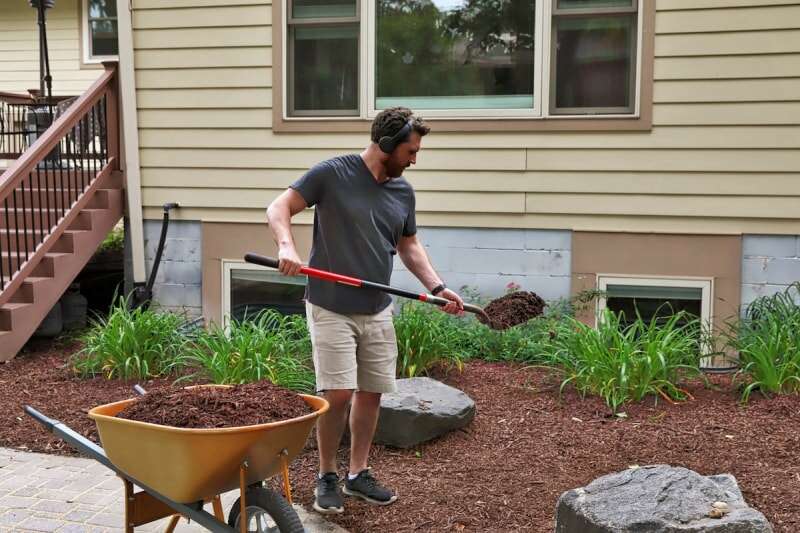 Un propriétaire dépose du paillis de bois dans les parterres de fleurs de son jardin.