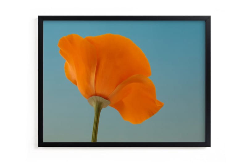 Les meilleurs endroits pour acheter des œuvres d'art en ligne Options : California Poppy