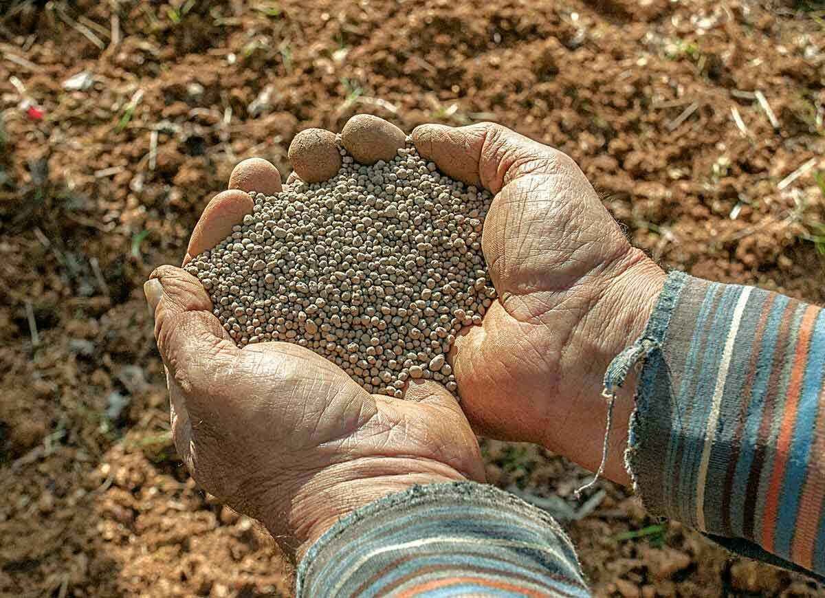 Les meilleures choses que vous pouvez faire pour le sol de votre jardin