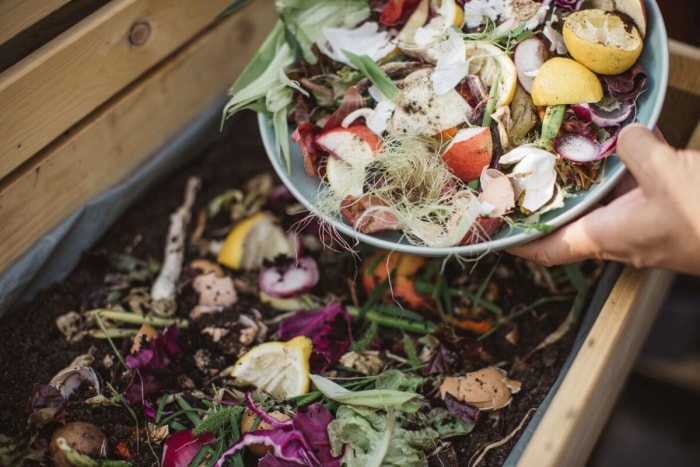 des façons gratuites de démarrer un jardin - restes de compost végétal