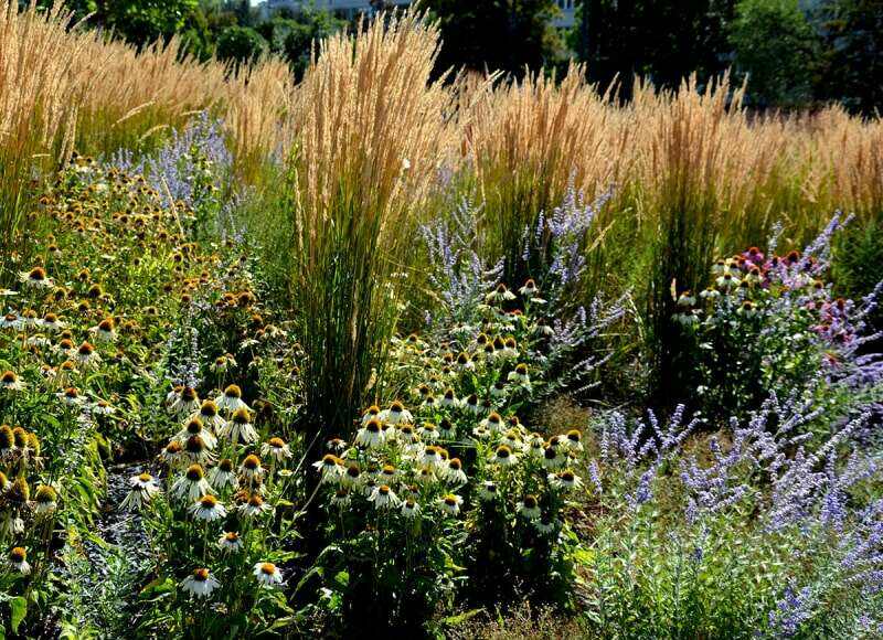 9 raisons pour lesquelles vous devriez pailler votre jardin chaque automne