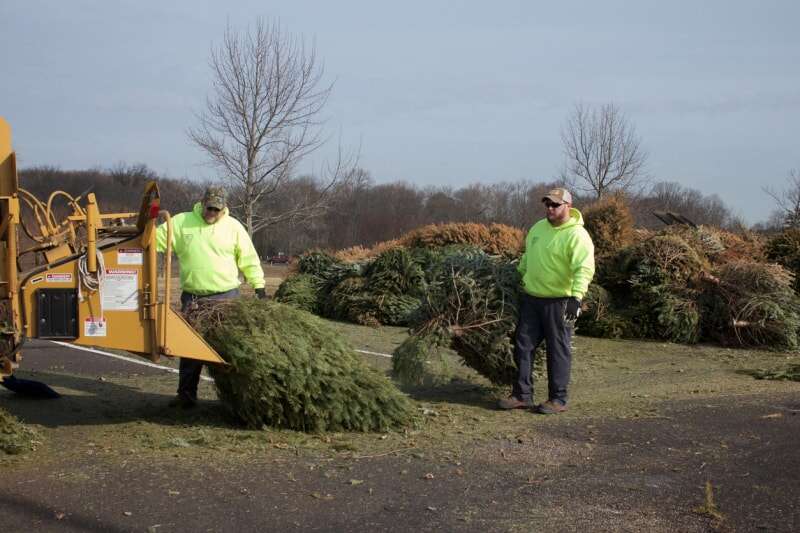 iStock-1128280107 entretien des arbres de Noël recyclage des arbres de Noël avec ulcher