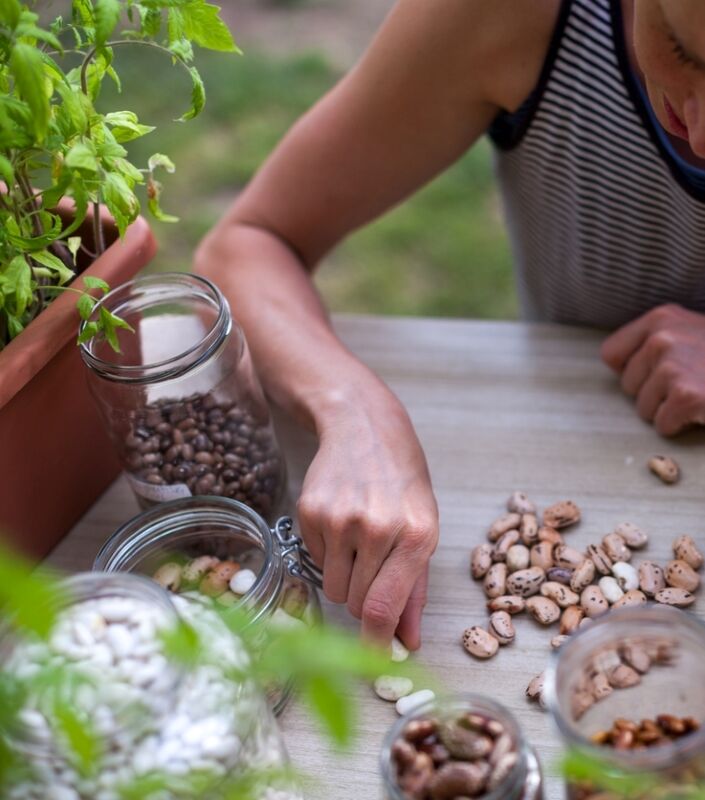 façons gratuites de démarrer un jardin - une femme compte des graines de haricots