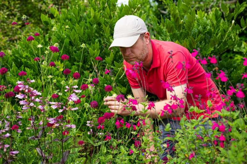 Image en couleur représentant un homme d'une trentaine d'années examinant les fleurs qui poussent dans son jardin. Il porte un polo rouge et une casquette de baseball beige.