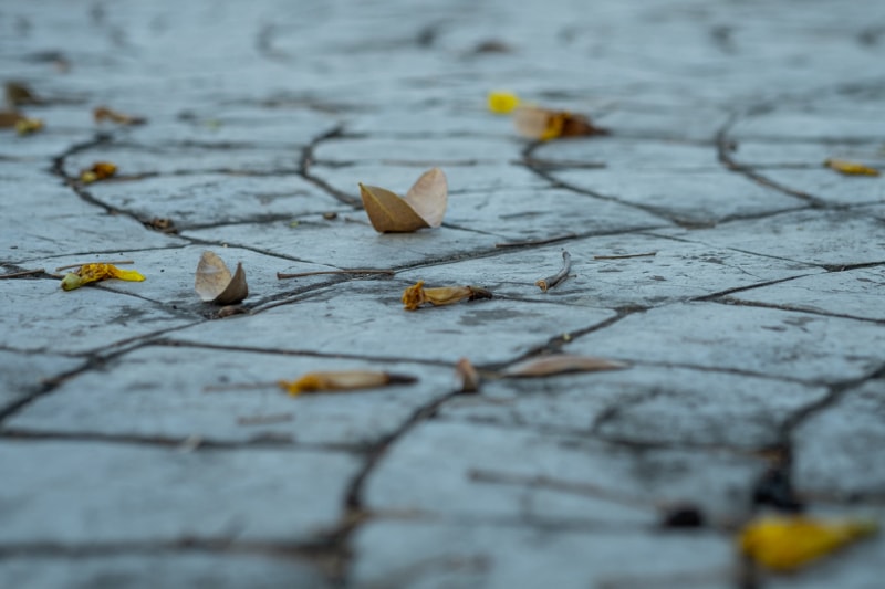 Gros plan de l'allée en béton et des feuilles d'automne tombées au sol