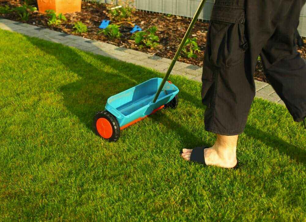 10 remèdes pour sauver une pelouse mourante