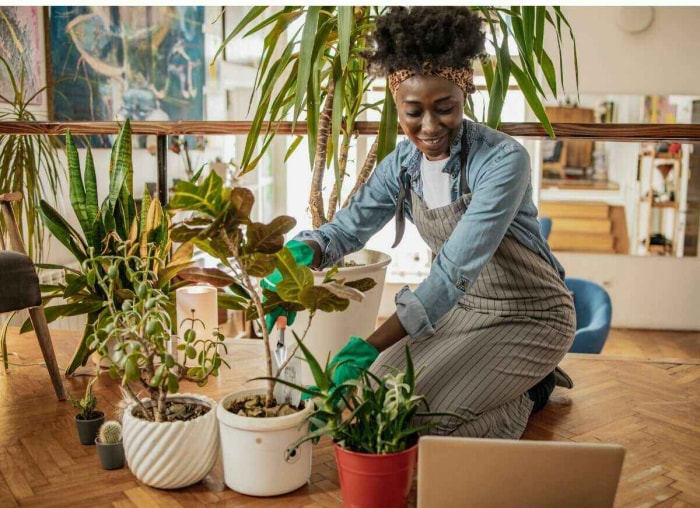 8 fils de discussion Reddit sur le thème botanique que tous les parents de plantes devraient connaître