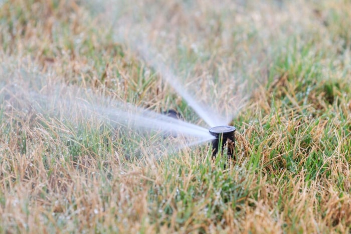 Gros plan d'un arroseur de pelouse pulvérisant de l'eau sur l'herbe verte et brune.