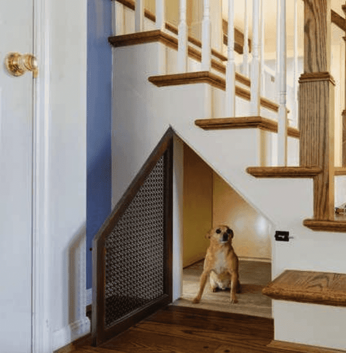 Vue basse de l'escalier se prolongeant dans la cuisine avec une porte ouverte sur l'espace sous l'escalier où se cache un petit chien