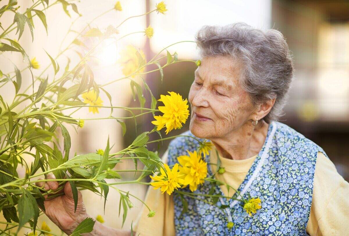 Femme âgée sentant une fleur dans un jardin