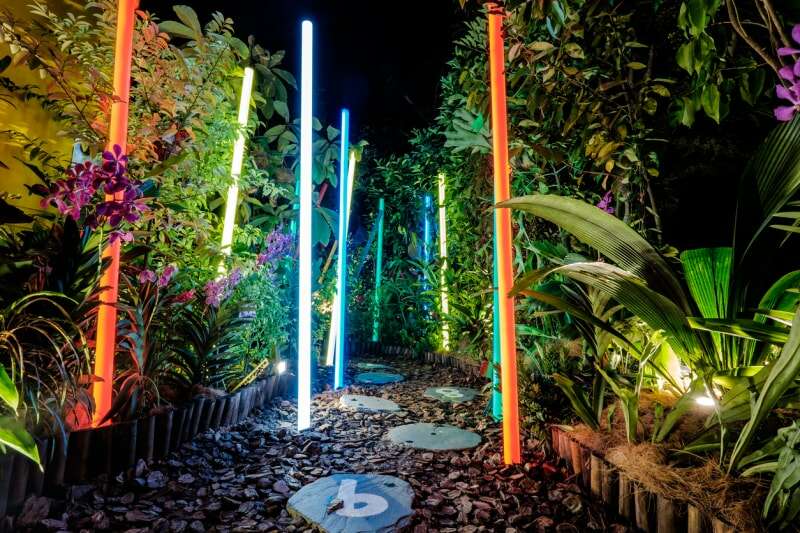 Des bâtons lumineux au néon illuminent un chemin de jardin avec des pierres de pas et des plantes luxuriantes de chaque côté.