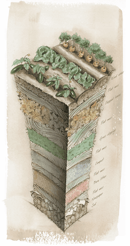 Jardinage en lasagnes - Diagramme