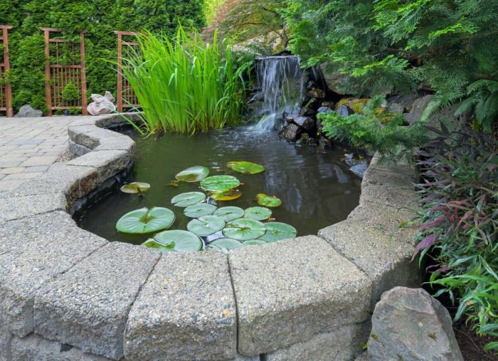 9 idées de cascades d'étang relaxantes pour votre jardin