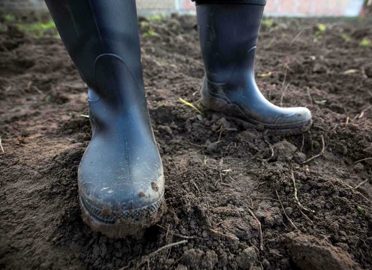 Les meilleures choses que vous pouvez faire pour le sol de votre jardin