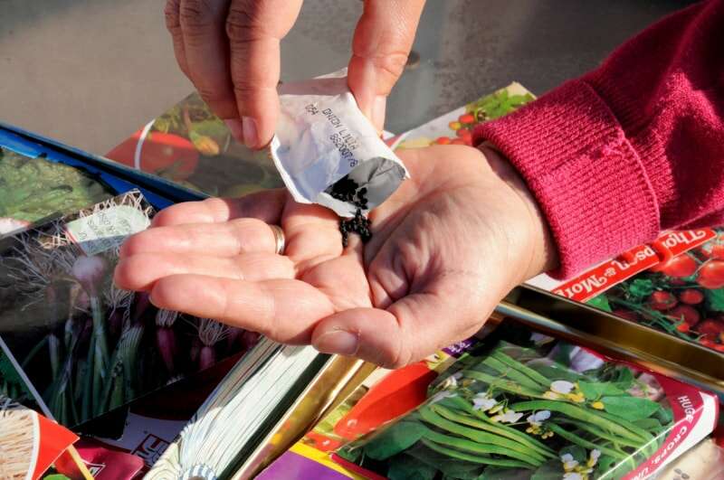 façons gratuites de démarrer un jardin - verser des graines à portée de main