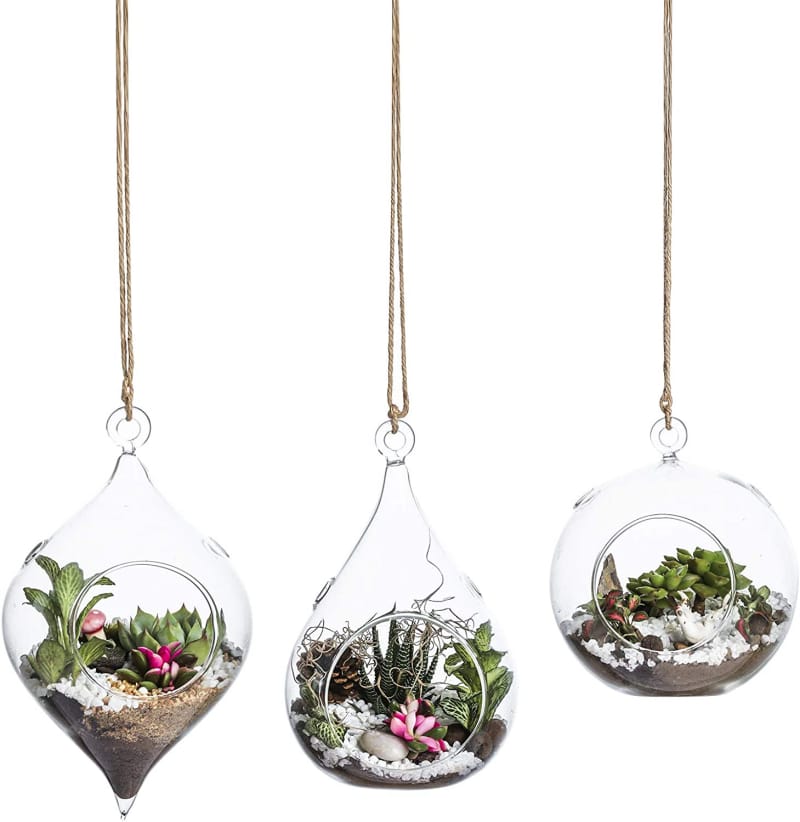 Trois terrariums suspendus