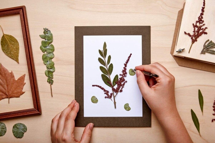 Cadre photo en carton DIY avec des plantes séchées.