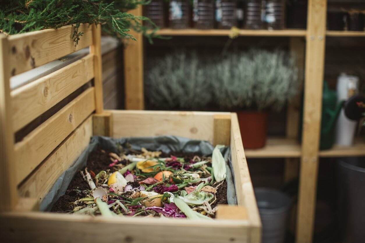 Biodégradable ou compostable : le compost Bakyard