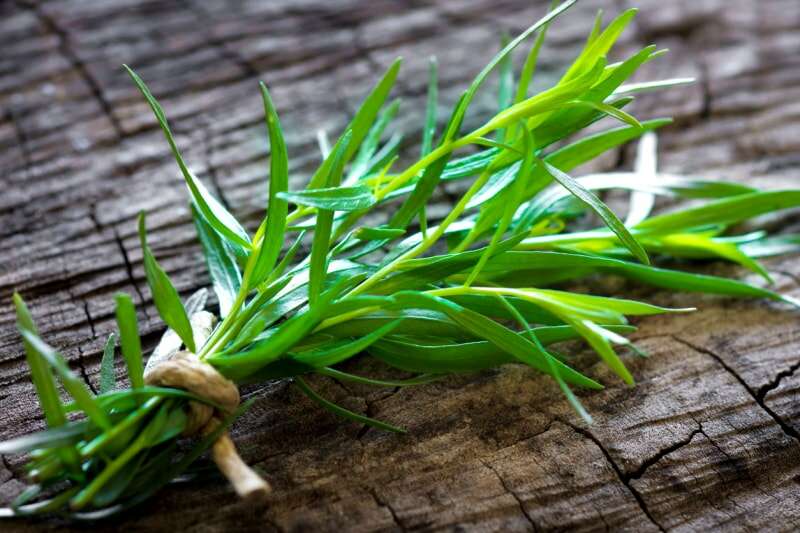 Les meilleures herbes à cultiver en intérieur