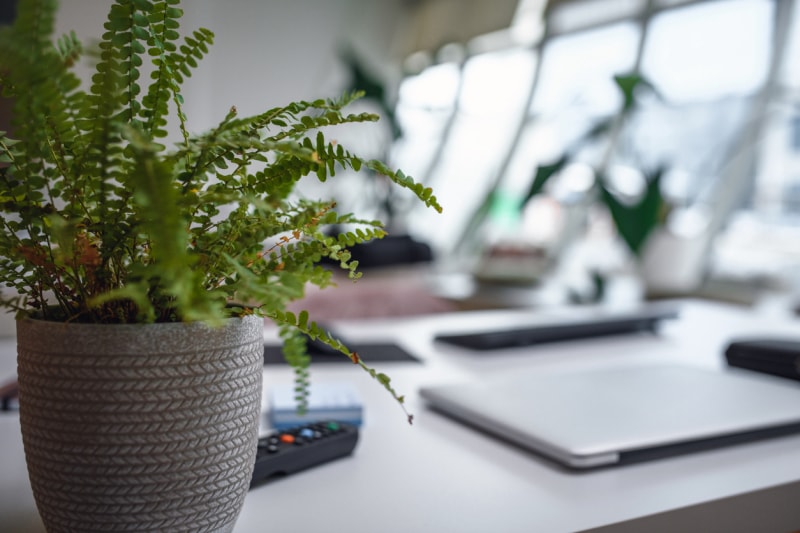 Table bien rangée et tout l'électronique nécessaire pour commencer à travailler sur tout type de projet. Ordinateur portable, tablette numérique dans un bureau d'entreprise.