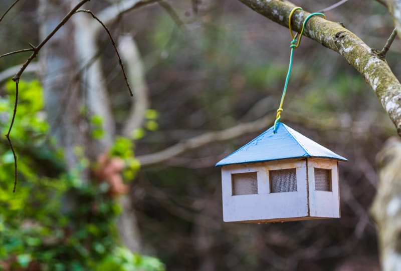 Maison d'oiseau DIY.