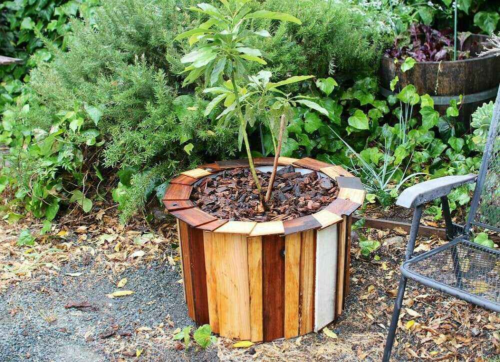 10 projets de jardinage en bois pour les débutants