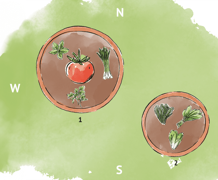 Une illustration de deux aménagements de potager en conteneurs.