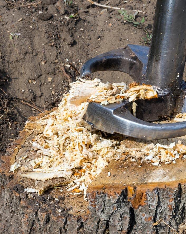 Coût de l'enlèvement des souches d'arbres Types d'enlèvement des souches d'arbres