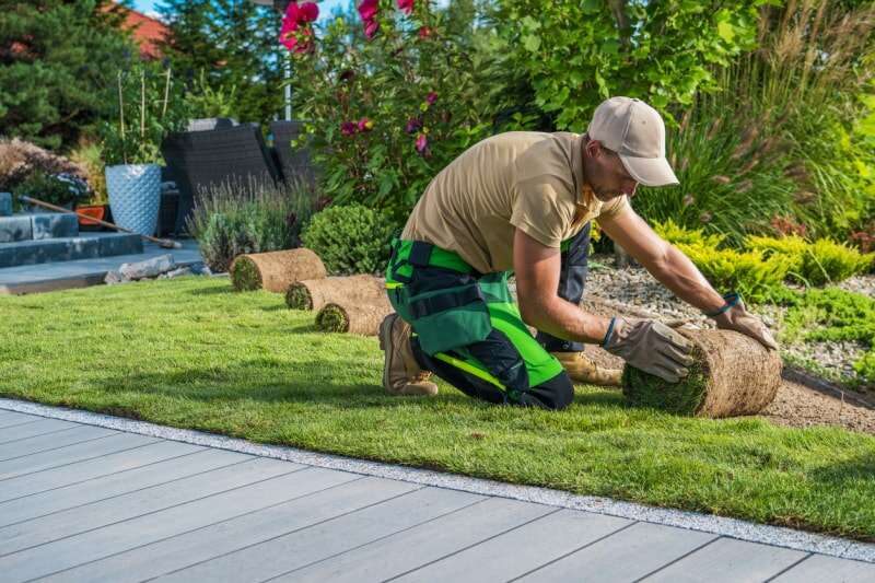 Paysagiste professionnel installant de nouveaux gazons dans le jardin