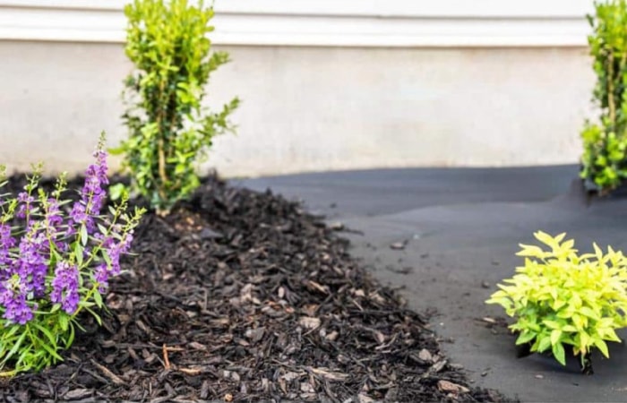 Tout ce dont vous avez besoin pour démarrer un jardin surélevé Tissu paysager anti-mauvaises herbes