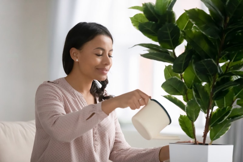 Une femme utilise un arrosoir pour arroser une plante d'intérieur.