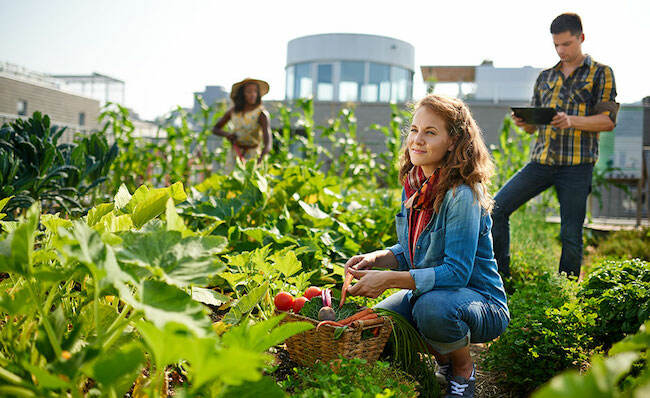 ateliers de jardinage