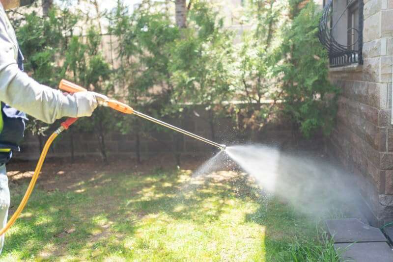 Pulvérisation d'herbicides sur la pelouse