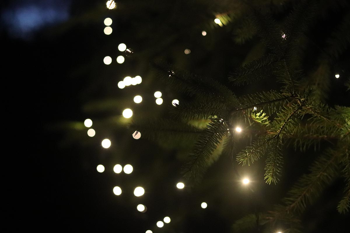 Petites lumières blanches sur un arbre de Noël dans le cadre d'un test des meilleures lumières de Noël.