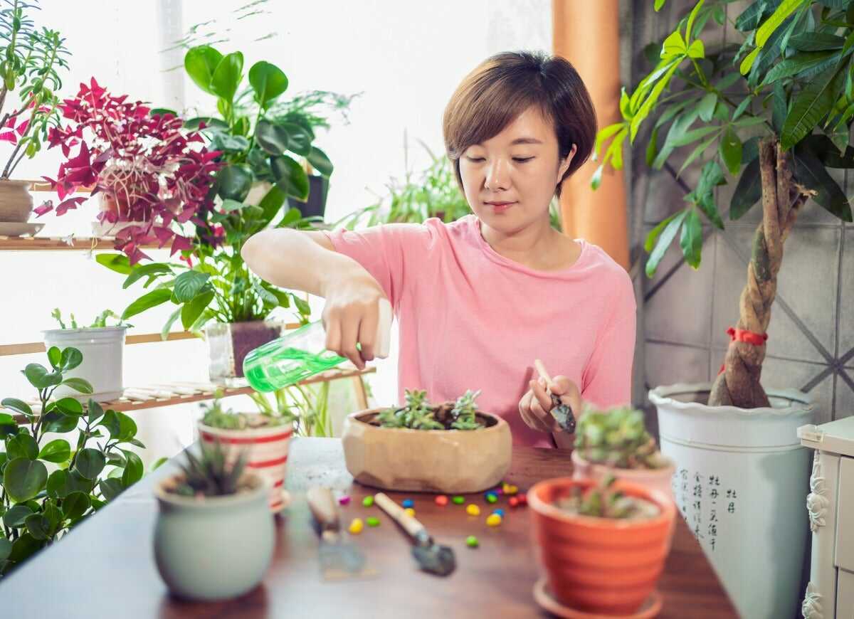 8 fils de discussion Reddit sur le thème botanique que tous les parents de plantes devraient connaître