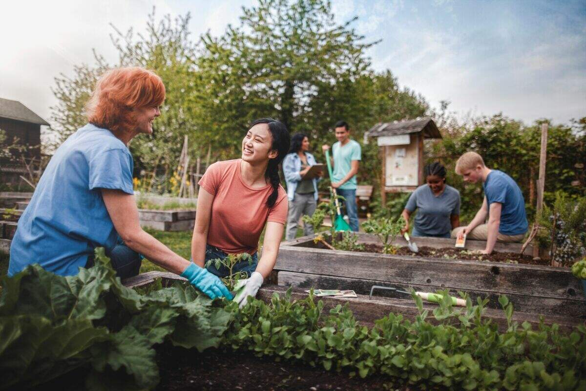 des moyens gratuits pour démarrer un jardin – des bénévoles dans un jardin communautaire