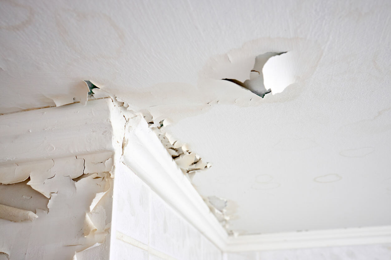 Gonflement et fuite de chaux et de plâtre au plafond d'une habitation en raison de la pénétration d'eau provenant du dernier étage ou du toit, foyer sélectif.