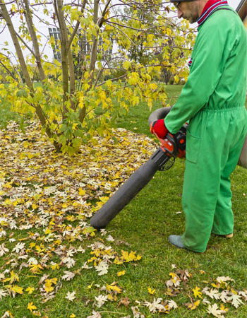 Enlèvement de feuilles près de chez moi