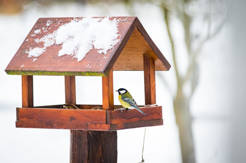 projets extérieurs de dernière minute pour l'automne avec poteau quikrete pour mangeoire à oiseaux